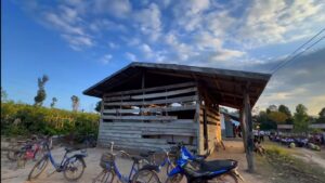 whatsapp image 2025 10 24 at 5.37.16 am